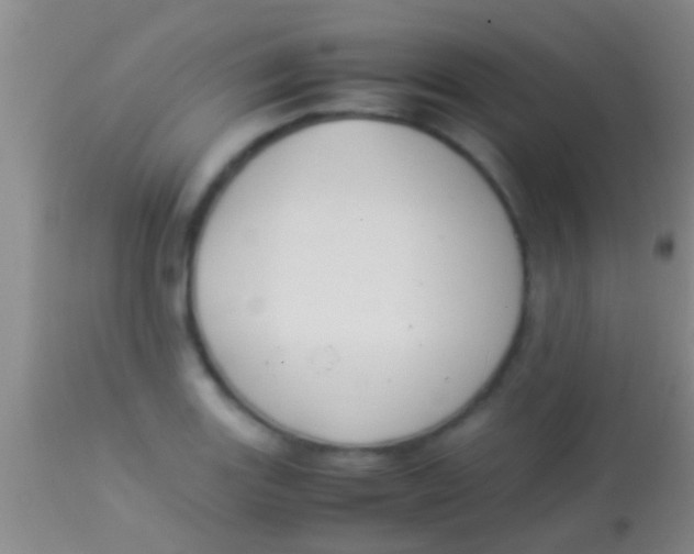 X0000113951131200910161933