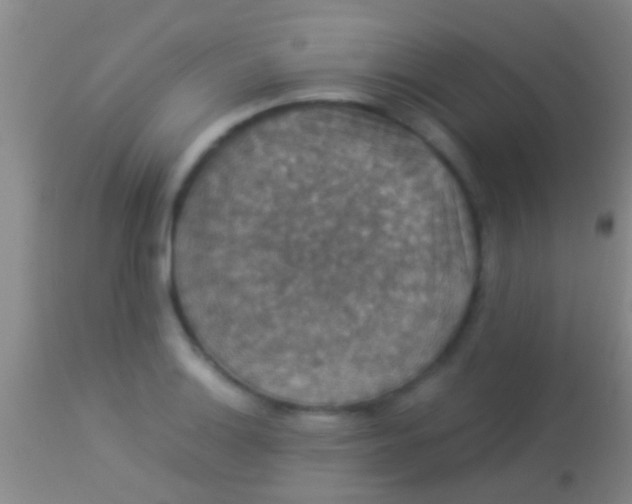 X0000113951132200910161933