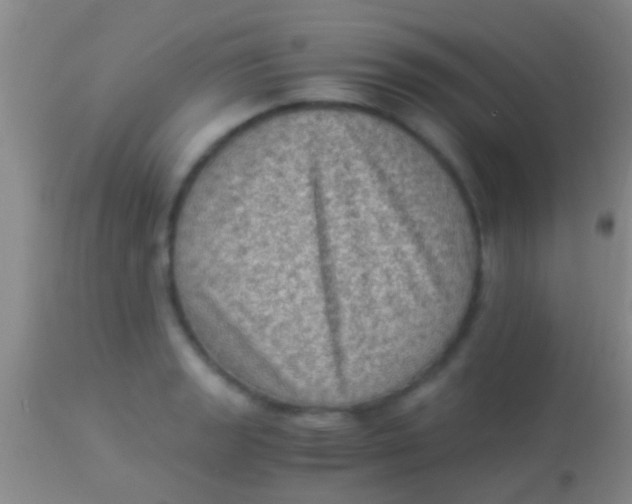 X0000113951133200910161933