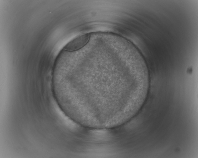X0000113951134200910161933