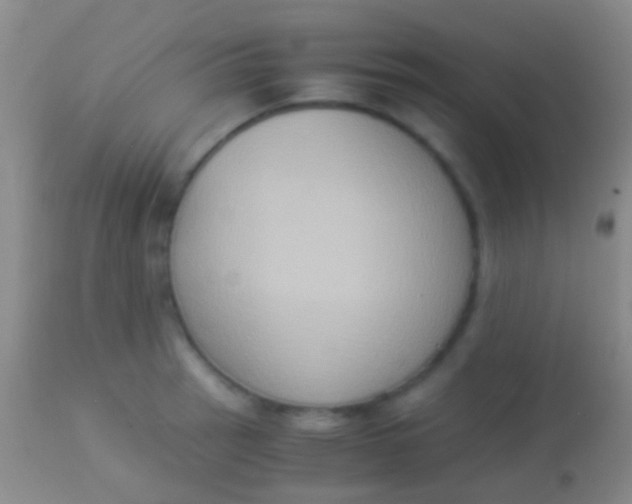 X0000113951137200910161933