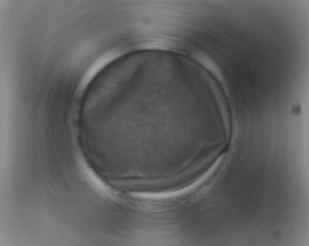 X0000113951138200910161933