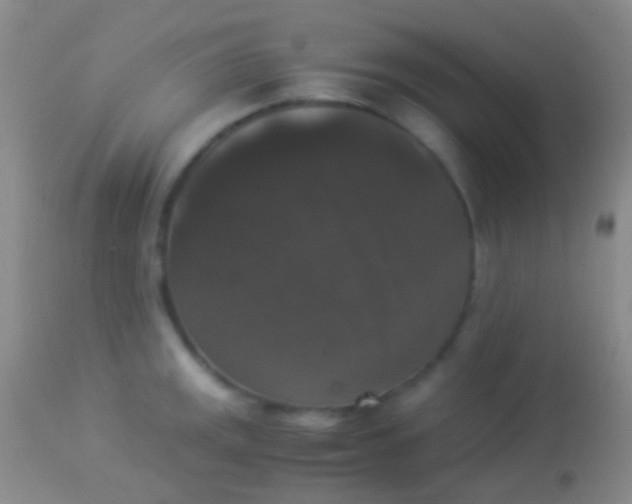 X0000113951141200910161933