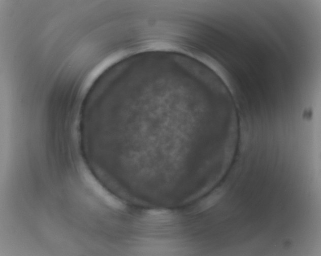 X0000113951142200910161933