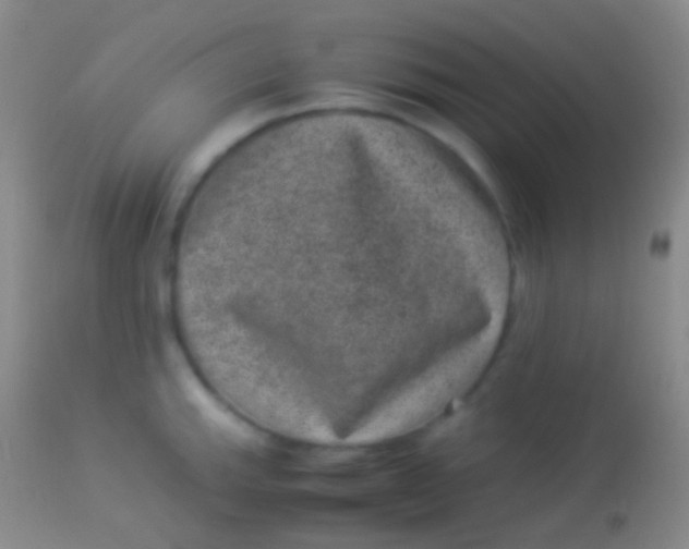 X0000113951143200910161933