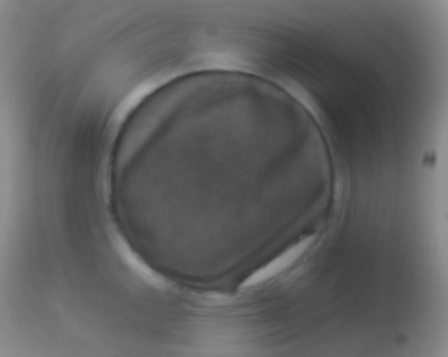 X0000113951144200910161933