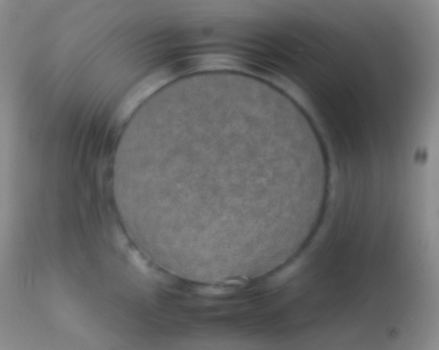 X0000113951145200910161933