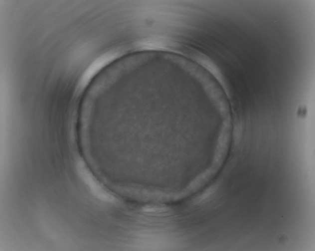 X0000113951146200910161933