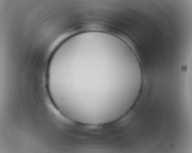 X0000113951147200910161933