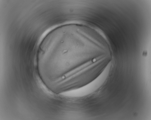X0000113951148200910161933