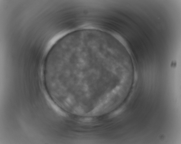 X0000113951149200910161933