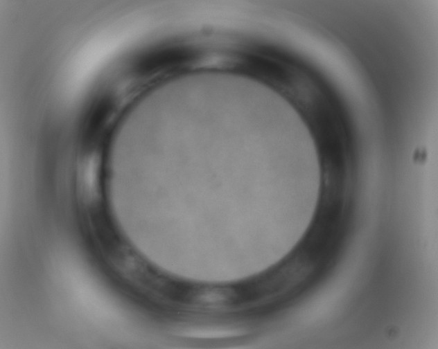X0000113951150200910161933