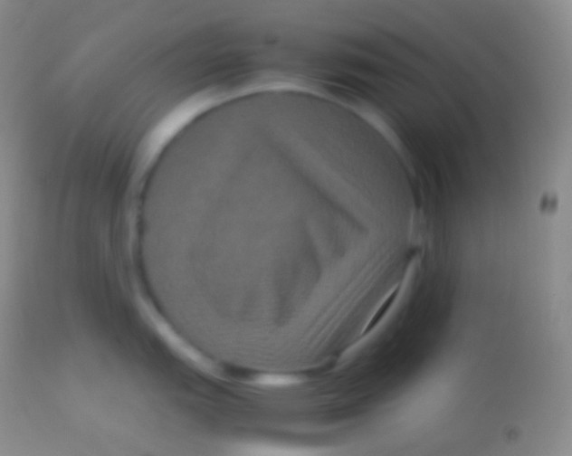 X0000113951151200910161933