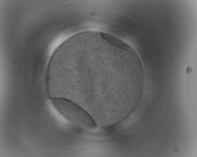X0000113951152200910161933