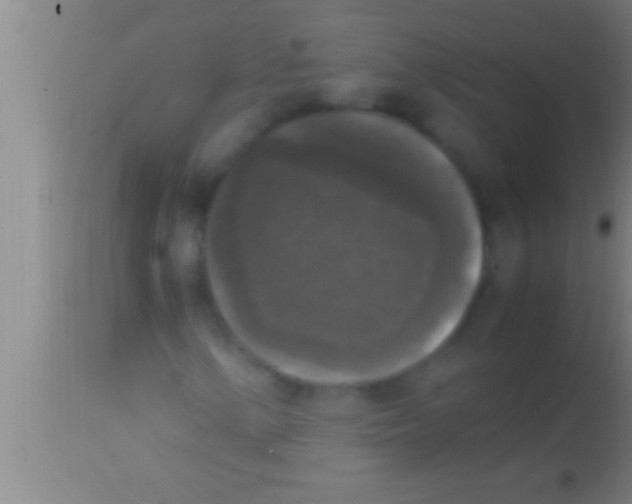 X0000113951154200910161933