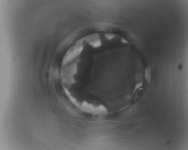 X0000113951155200910161933
