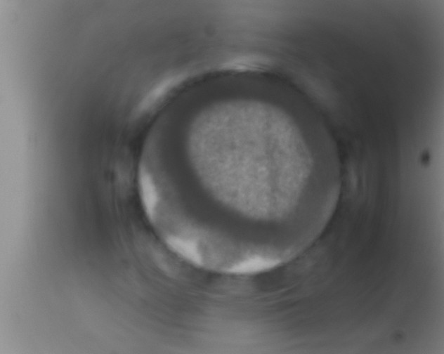 X0000113951158200910161932