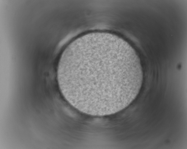 X0000113951160200910161932