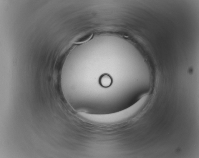 X0000113951161200910161932