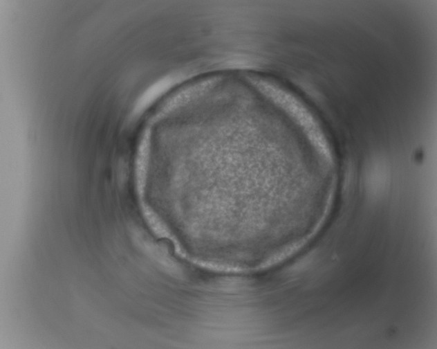 X0000113951163200910161932