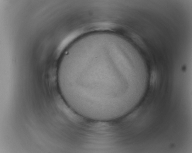 X0000113951164200910161932