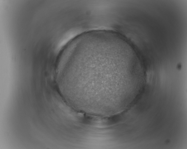 X0000113951165200910161932