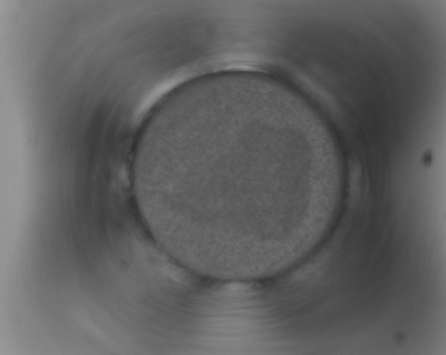 X0000113951166200910161932