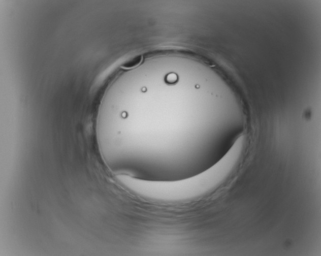 X0000113951167200910161932
