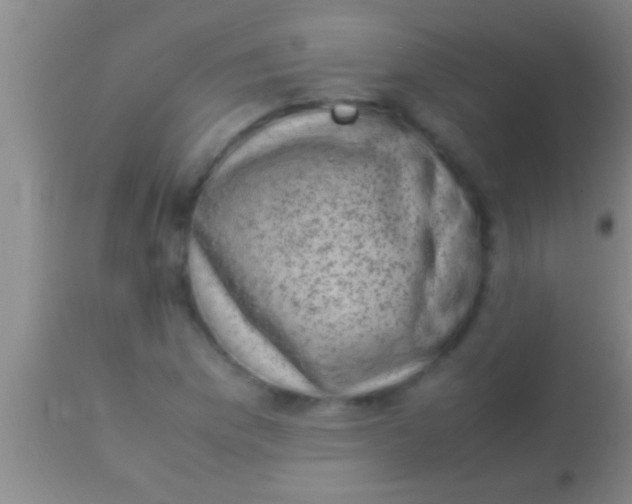 X0000113951169200910161932