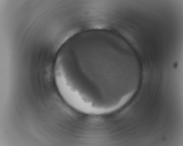 X0000113951170200910161932