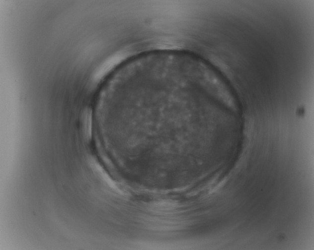 X0000113951171200910161932