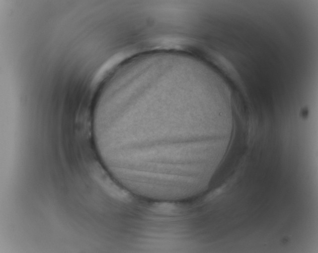 X0000113951172200910161932