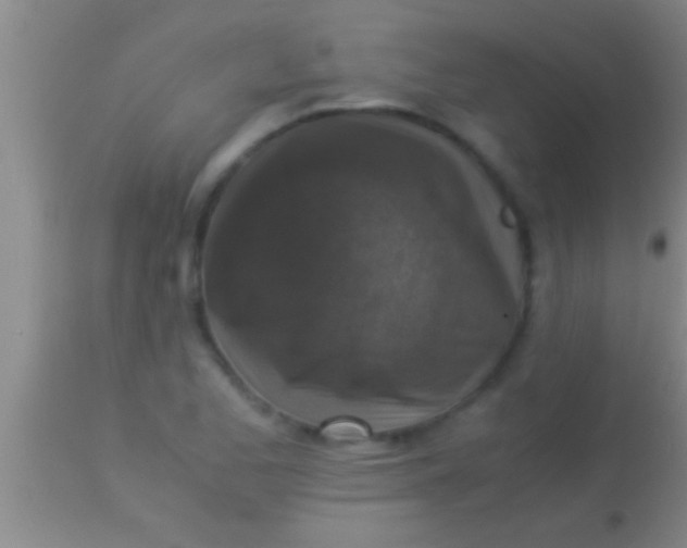 X0000113951173200910161932