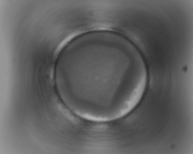 X0000113951174200910161932