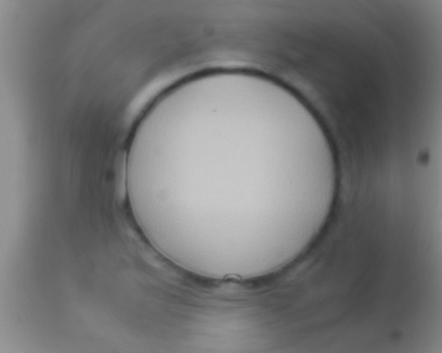 X0000113951175200910161932