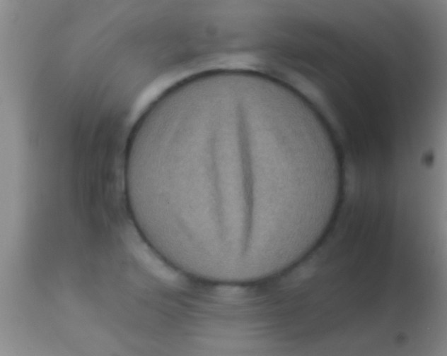 X0000113951176200910161932
