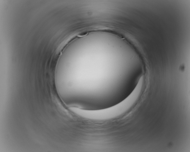 X0000113951177200910161932