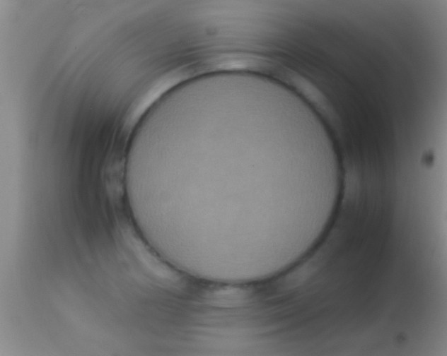 X0000113951178200910161932