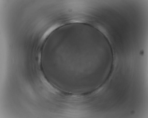 X0000113951179200910161932
