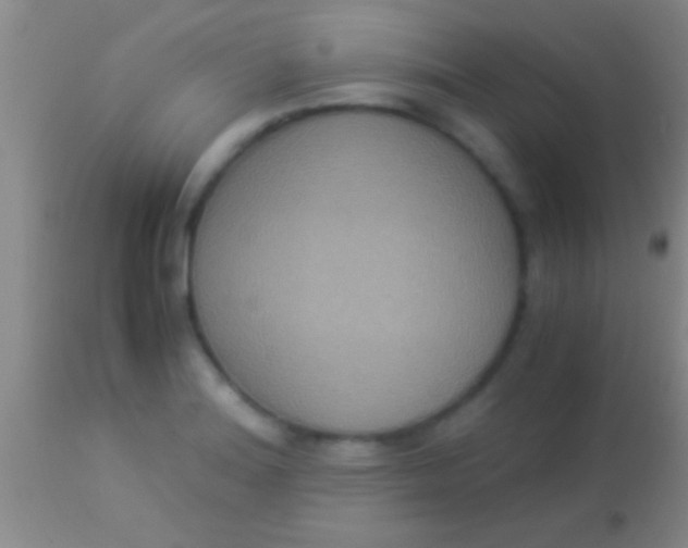 X0000113951180200910161932