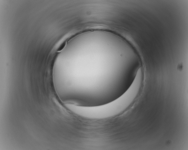 X0000113951181200910161932