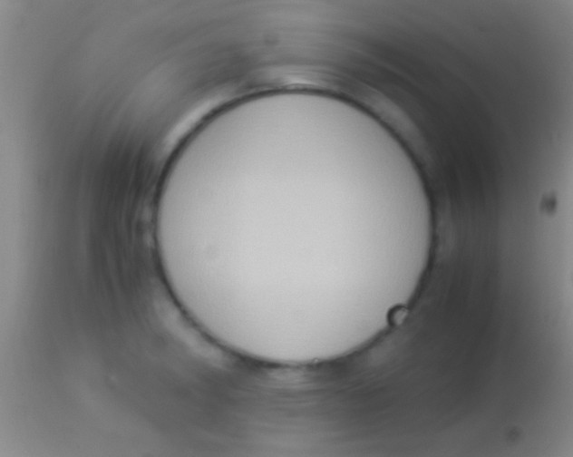 X0000113951182200910161932