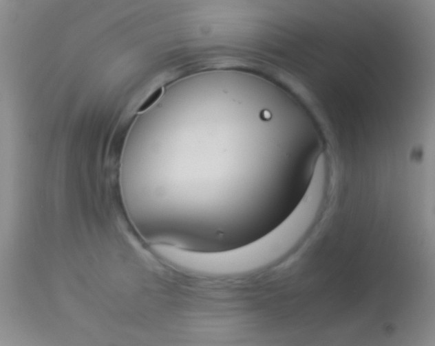 X0000113951185200910161932