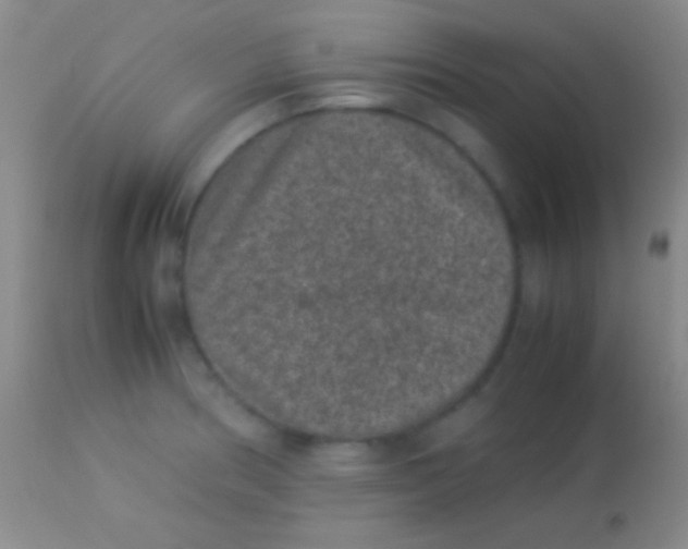 X0000113951186200910161932
