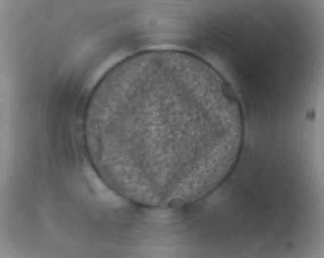 X0000113951189200910161932
