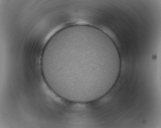 X0000113951190200910161932