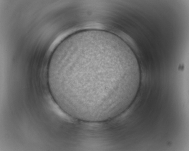 X0000113951192200910161932
