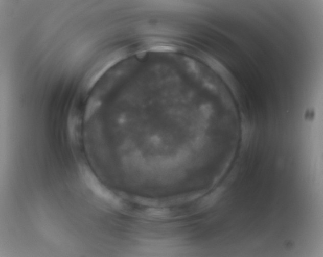 X0000113951194200910161932