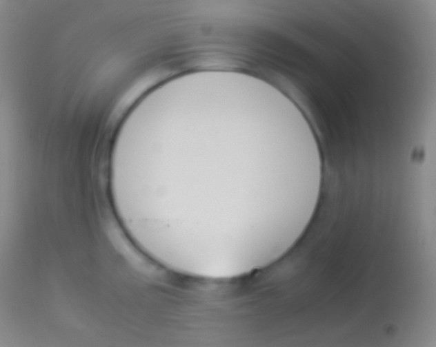 X0000113951195200910161932