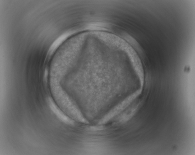 X0000113951196200910161932